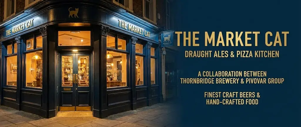 The Market Cat York near Shambles Market